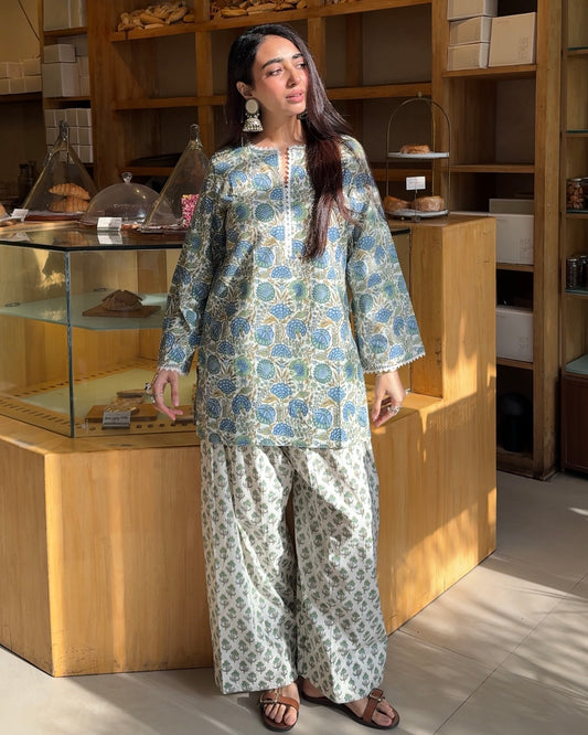 Blue Bageecha Farshi set