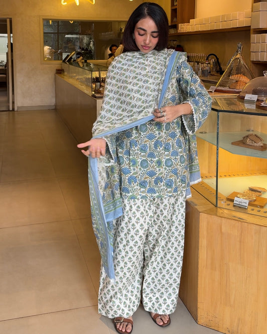 Blue Bageecha Farshi set